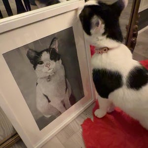 Katie added a photo of their purchase