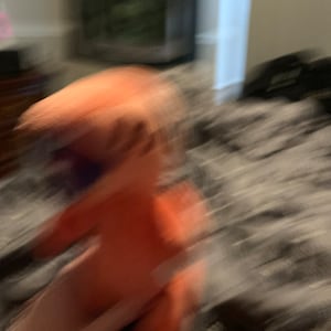 Nikolas ha aggiunto una foto del proprio acquisto