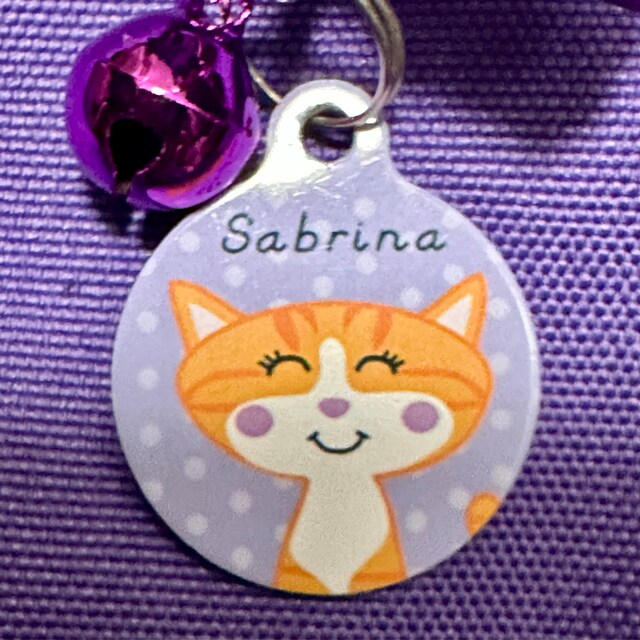 Personalized Cat Tag With Icon Handmade Acrylic ID Tag for Cats Collar  Kitten Adorable Nameplate Pendent Pet Products