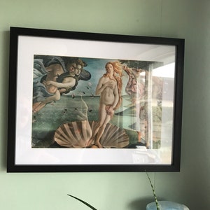 Lottie added a photo of their purchase