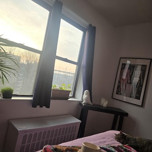 Gregory added a photo of their purchase