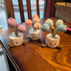 Sarah added a photo of their purchase
