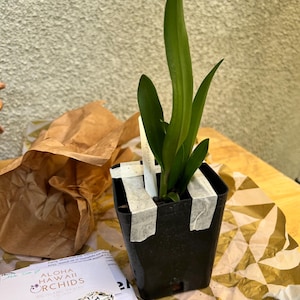 Tina added a photo of their purchase