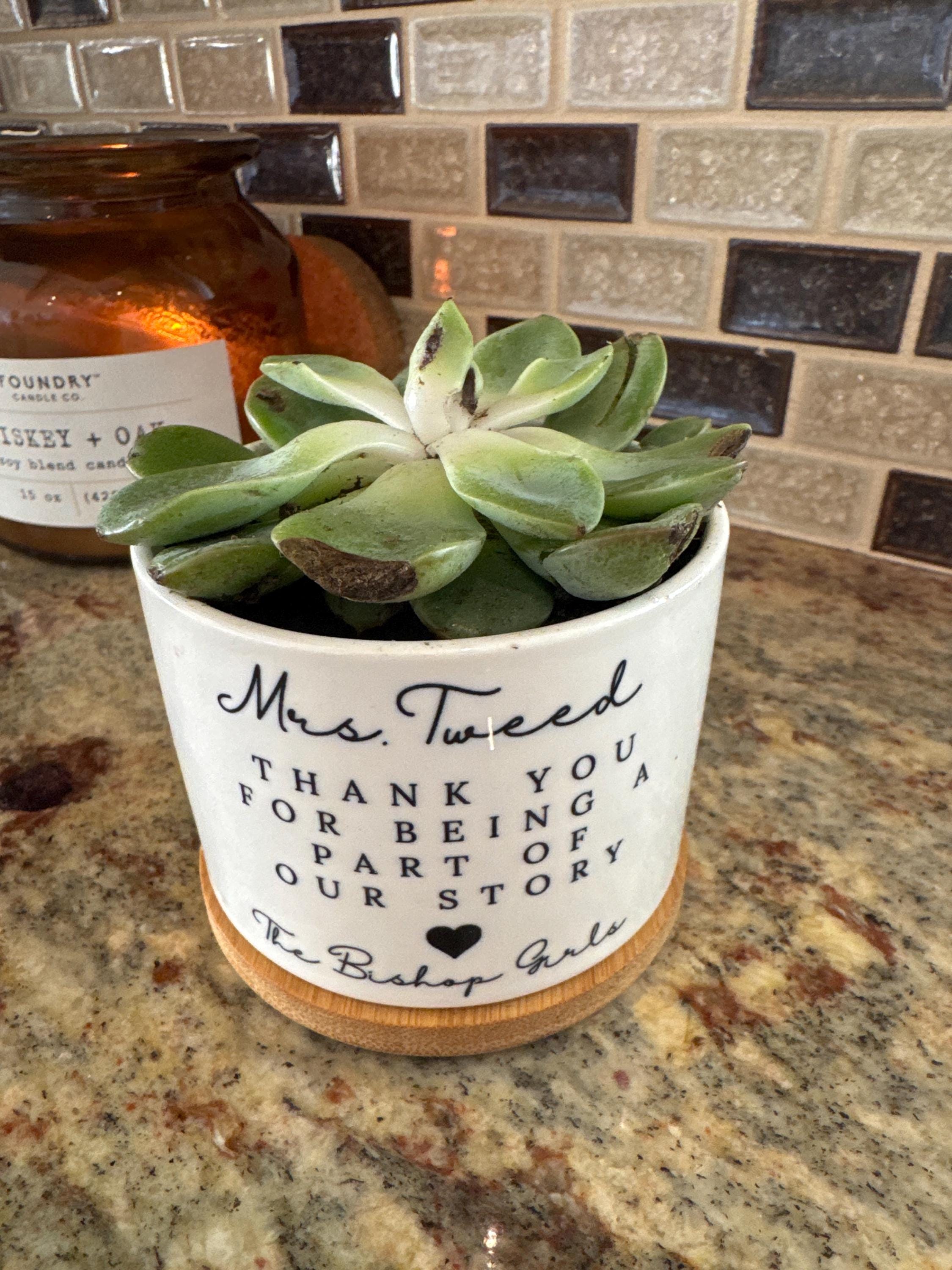 Thank you Gift for Teacher, End of Year Gift, Personalized Planter, Teacher Appreciation, Desk Planter, Custom Succulent Pot, Teacher Gift