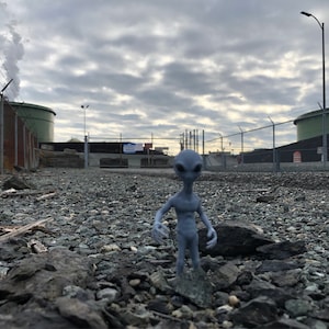 MelancholyRose ha añadido una foto de su compra