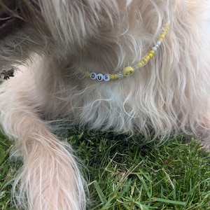 Sophie added a photo of their purchase