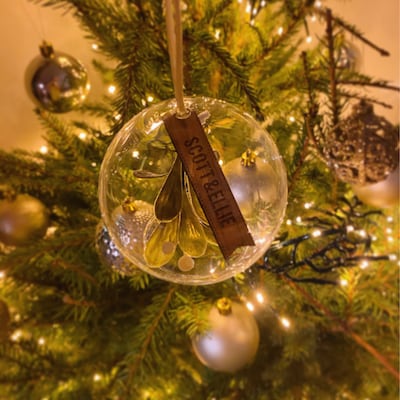 Silhouette Of Couple Are Kissing Under The Mistletoe Stock Vector