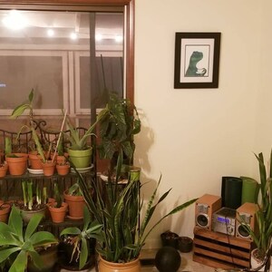Lizzie added a photo of their purchase
