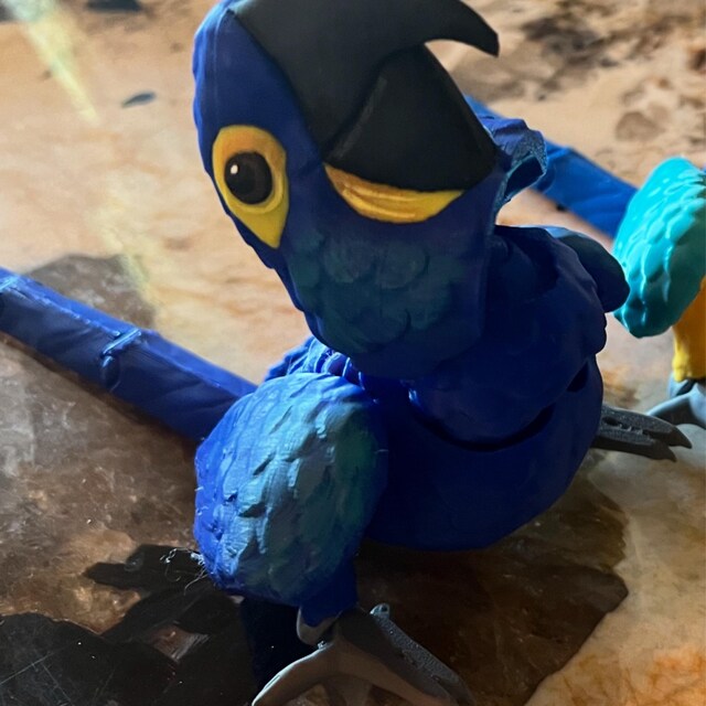Hyacinth Macaw Parrot - Articulated 3D Model With Some Hand