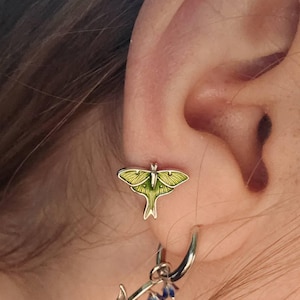 Paula added a photo of their purchase
