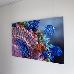 Mark さんが購入した商品の写真を追加しました