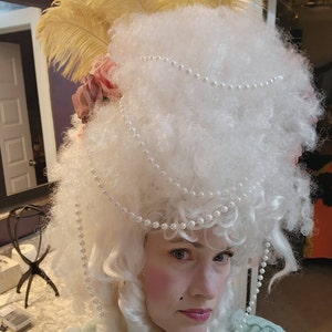 Adult Women's Madame Macabre Wig main image 1