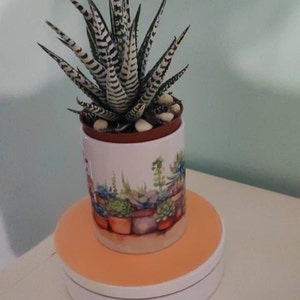 Michela added a photo of their purchase