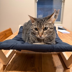 Katie added a photo of their purchase
