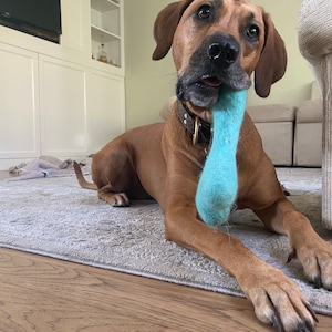 Tessa added a photo of their purchase