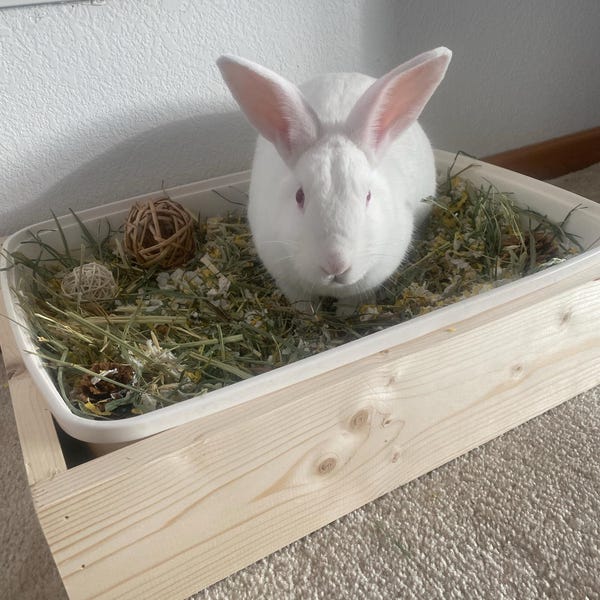 Rabbit Litter Pan With Base - Etsy