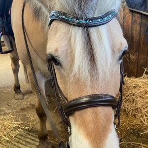 Têtière En Cuir Rembourrée Pour Cheval, Noire Avec Cristaux Orange Topaz - Taille A