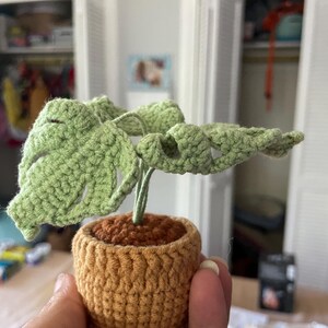 Katie さんが購入した商品の写真を追加しました