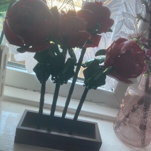 Janine ha aggiunto una foto del proprio acquisto