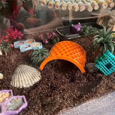 Blubber Cove Large Aquarium Cave Hide – Tunnel Decor For Betta, Shrimp, Cory, Axolotl