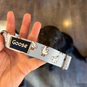 Meg added a photo of their purchase