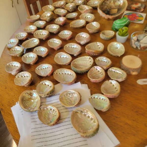 Wholesale (3-4") Threaded Abalone Shells Comes in Great Price. 100% ...