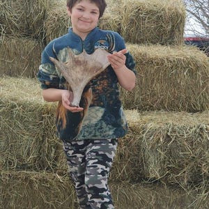 Melissa added a photo of their purchase