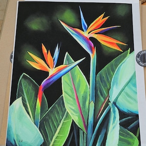 Vanessa ha añadido una foto de su compra