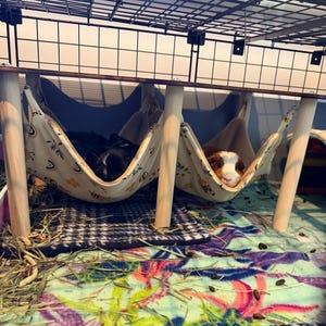 Carolyn added a photo of their purchase
