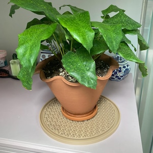 Amelia added a photo of their purchase