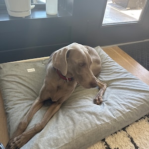 Charlene added a photo of their purchase