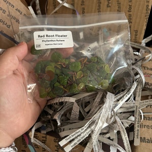 Sherly hat ein Foto des gekauften Artikels hinzugefügt