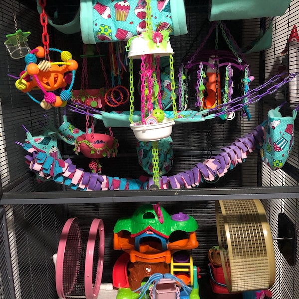 Image showcasing Ready to Ship/8 Piece Sugar Glider Cage Set/rainbow Candy /sugar Glider ...