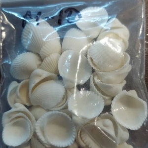 Candy added a photo of their purchase
