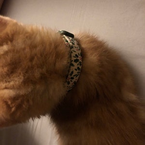 Katherine added a photo of their purchase