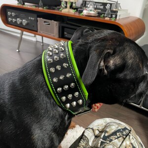 Bestia™ EROS Hundehalsband – 6,3 Cm Breit, Aus 100% Leder, Gepolstert | Für Große Hunderassen