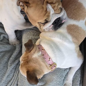 Mandy added a photo of their purchase