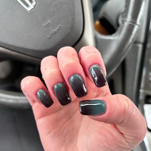 Shelby added a photo of their purchase