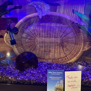 Frankiemarie added a photo of their purchase
