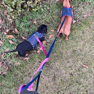 Sarah added a photo of their purchase