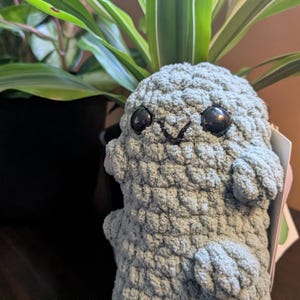 Wonder added a photo of their purchase