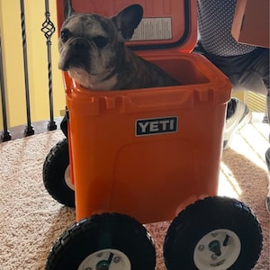 Melissa added a photo of their purchase