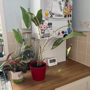 Etsy-köpare lade till en bild av sitt köp