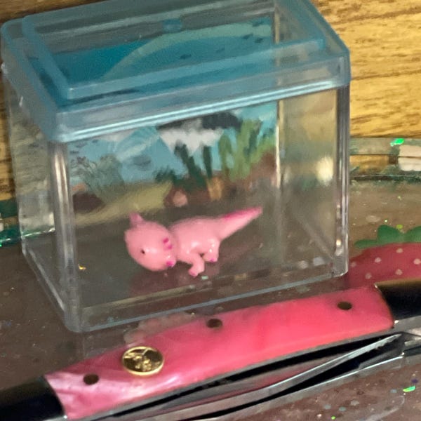 Dollhouse Miniatures Re-ment Wonderland Tea Party 2022 Tea Set Rabbit ...