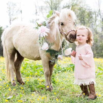 Unicorn Horn for Horse or Pony / Realistic Lightweight and - Etsy