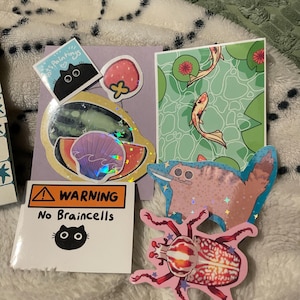 Willow added a photo of their purchase