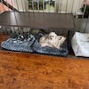 Picture of Modern Edge Wood Dog Crate Base, Walnut Stain, Safety Lip Secure Fit ...