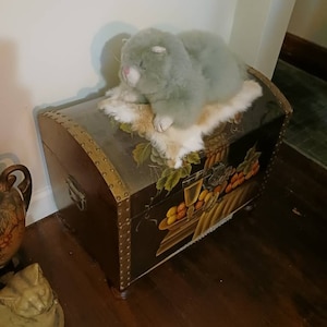 Tammy added a photo of their purchase