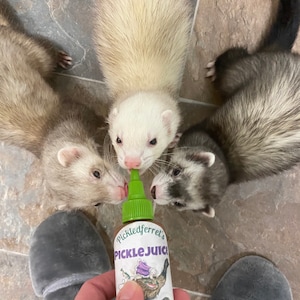 Alanna ha añadido una foto de su compra