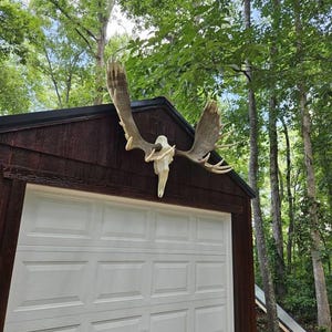 Prescott added a photo of their purchase